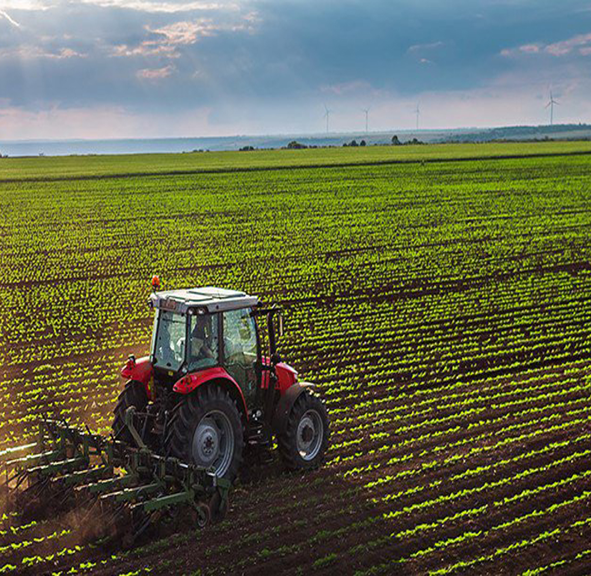farmland
